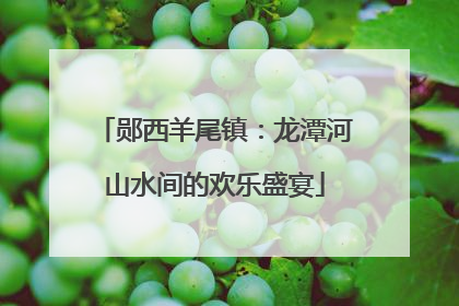 郧西羊尾镇：龙潭河山水间的欢乐盛宴