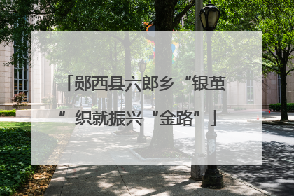 郧西县六郎乡“银茧”织就振兴“金路”