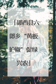郧西县六郎乡“黄板护椒”促绿兴农