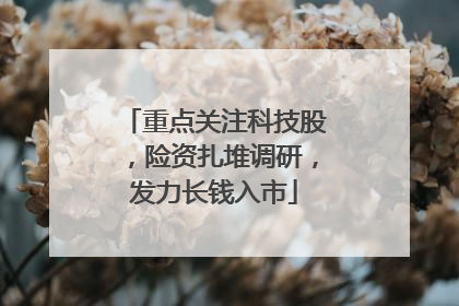 重点关注科技股，险资扎堆调研，发力长钱入市