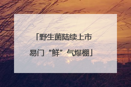 野生菌陆续上市 易门“鲜”气爆棚