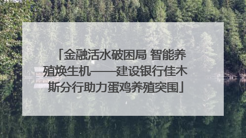 金融活水破困局 智能养殖焕生机——建设银行佳木斯分行助力蛋鸡养殖突围
