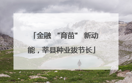 金融 “育苗” 新动能，莘县种业拔节长