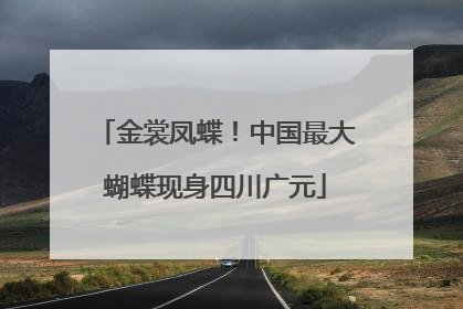 金裳凤蝶！中国最大蝴蝶现身四川广元
