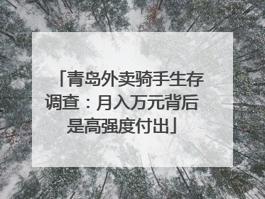 青岛外卖骑手生存调查：月入万元背后是高强度付出