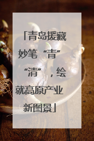 青岛援藏妙笔“青”“清”，绘就高原产业新图景