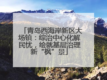 青岛西海岸新区大场镇：综治中心化解民忧，绘就基层治理新“枫”景