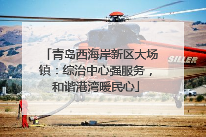 青岛西海岸新区大场镇：综治中心强服务，和谐港湾暖民心