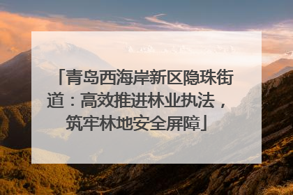 青岛西海岸新区隐珠街道：高效推进林业执法，筑牢林地安全屏障