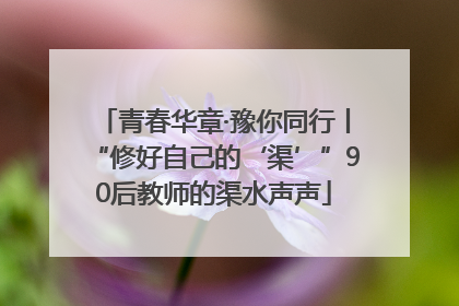 青春华章·豫你同行丨“修好自己的‘渠’”90后教师的渠水声声