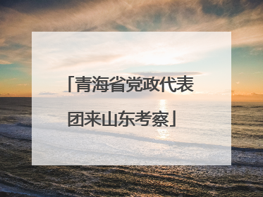 青海省党政代表团来山东考察