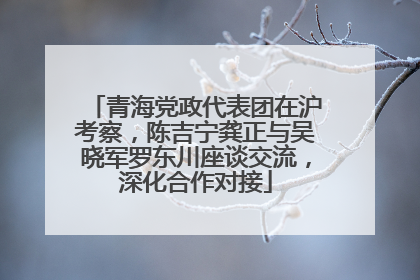 青海党政代表团在沪考察，陈吉宁龚正与吴晓军罗东川座谈交流，深化合作对接