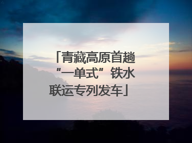 青藏高原首趟“一单式”铁水联运专列发车