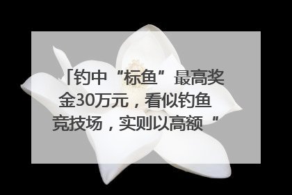 钓中“标鱼”最高奖金30万元，看似钓鱼竞技场，实则以高额“回报”作“饵”……｜今晚九点半