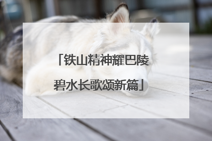 铁山精神耀巴陵 碧水长歌颂新篇