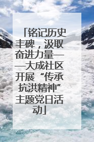 铭记历史丰碑，汲取奋进力量——大成社区开展“传承抗洪精神”主题党日活动