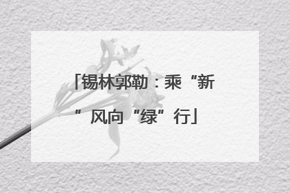 锡林郭勒：乘“新”风向“绿”行