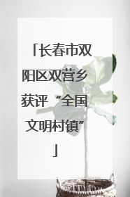 长春市双阳区双营乡获评“全国文明村镇”
