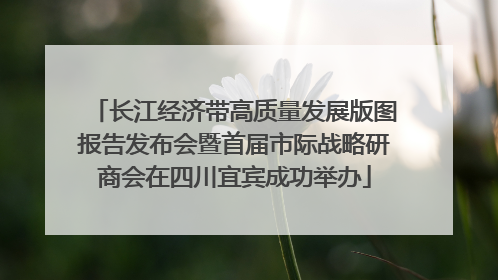 长江经济带高质量发展版图报告发布会暨首届市际战略研商会在四川宜宾成功举办