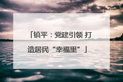 镇平：党建引领 打造居民“幸福里”