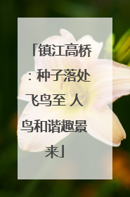镇江高桥：种子落处飞鸟至 人鸟和谐趣景来
