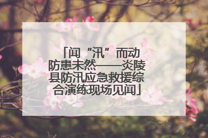 闻“汛”而动 防患未然——炎陵县防汛应急救援综合演练现场见闻