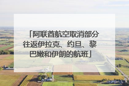 阿联酋航空取消部分往返伊拉克、约旦、黎巴嫩和伊朗的航班