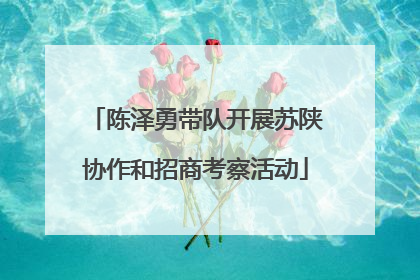 陈泽勇带队开展苏陕协作和招商考察活动