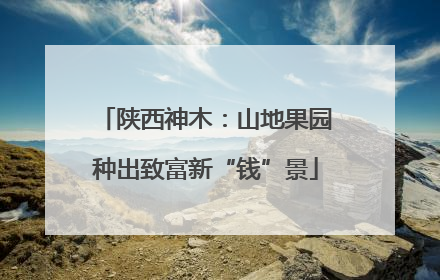 陕西神木：山地果园种出致富新“钱”景