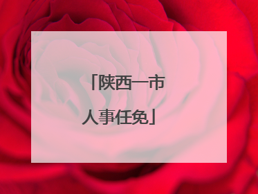 陕西一市人事任免