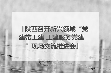 陕西召开新兴领域“党建带工建 工建服务党建”现场交流推进会