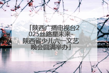 陕西广播电视台2025丝路星未来-陕西省少儿六一文艺晚会圆满举办