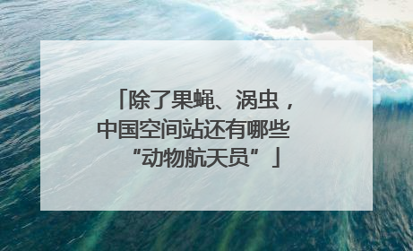 除了果蝇、涡虫，中国空间站还有哪些“动物航天员”