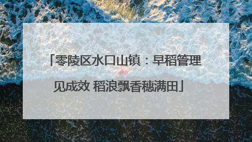 零陵区水口山镇：早稻管理见成效 稻浪飘香穗满田