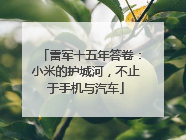 雷军十五年答卷：小米的护城河，不止于手机与汽车