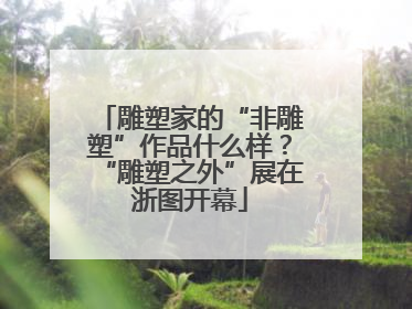 雕塑家的“非雕塑”作品什么样？“雕塑之外”展在浙图开幕