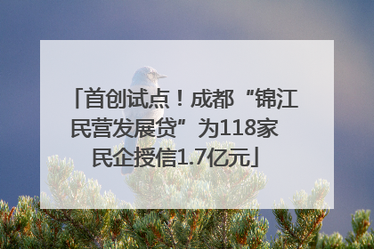 首创试点！成都“锦江民营发展贷”为118家民企授信1.7亿元