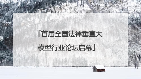 首届全国法律垂直大模型行业论坛启幕