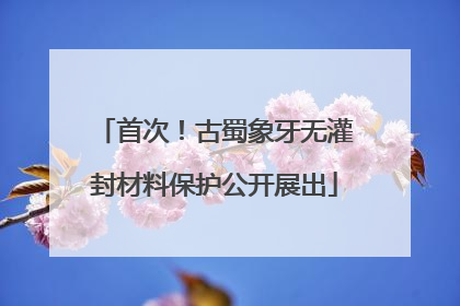 首次！古蜀象牙无灌封材料保护公开展出