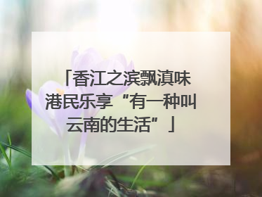 香江之滨飘滇味 港民乐享“有一种叫云南的生活”