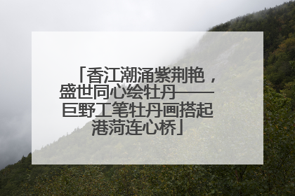 香江潮涌紫荆艳，盛世同心绘牡丹——巨野工笔牡丹画搭起港菏连心桥