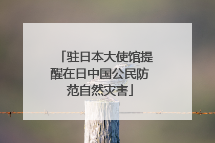 驻日本大使馆提醒在日中国公民防范自然灾害