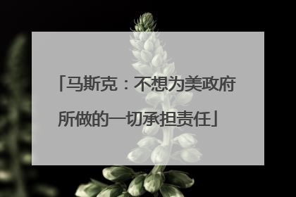 马斯克：不想为美政府所做的一切承担责任