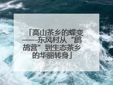 高山茶乡的蝶变——东风村从“鹧鸪营”到生态茶乡的华丽转身