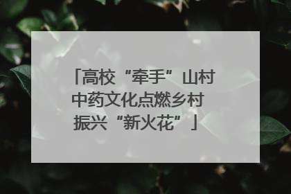 高校“牵手”山村 中药文化点燃乡村振兴“新火花”