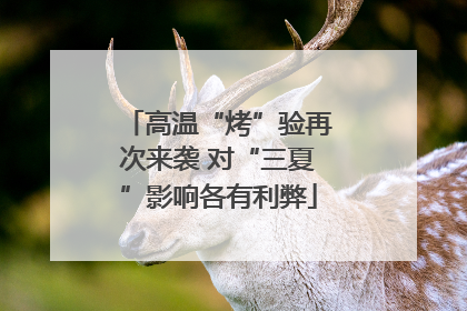 高温“烤”验再次来袭 对“三夏”影响各有利弊