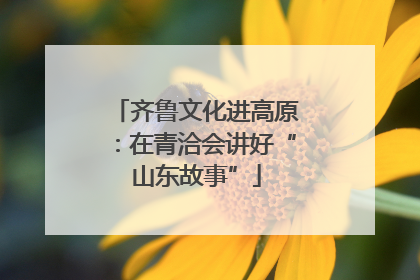 齐鲁文化进高原：在青洽会讲好“山东故事”