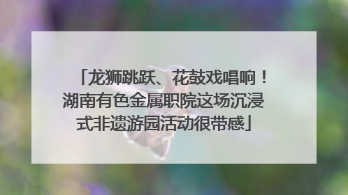 龙狮跳跃、花鼓戏唱响！湖南有色金属职院这场沉浸式非遗游园活动很带感