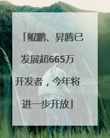 鲲鹏、昇腾已发展超665万开发者，今年将进一步开放