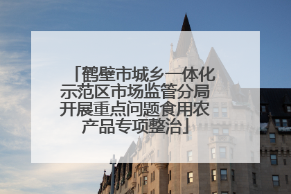 鹤壁市城乡一体化示范区市场监管分局开展重点问题食用农产品专项整治